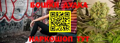 a pvp Кингисепп