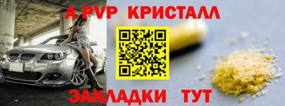 a pvp Кингисепп