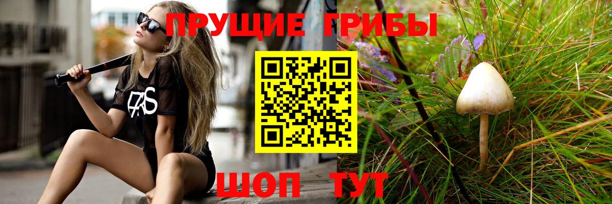 Шарыпово  Галлюциногенные грибы прущие грибы  Вход с VPN  Галлюциногенные грибы мухоморы 