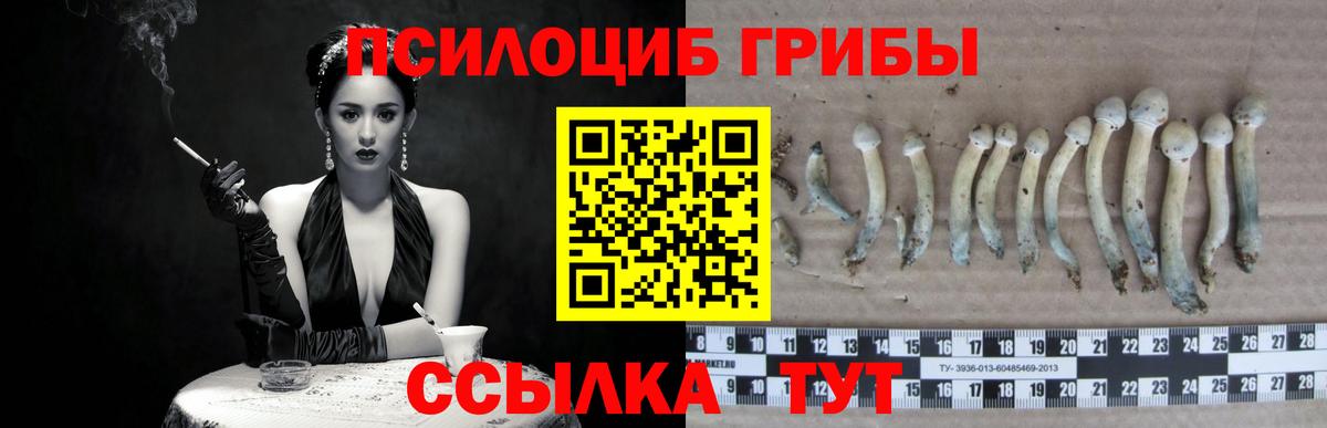 Галлюциногенные грибы прущие грибы Шарыпово